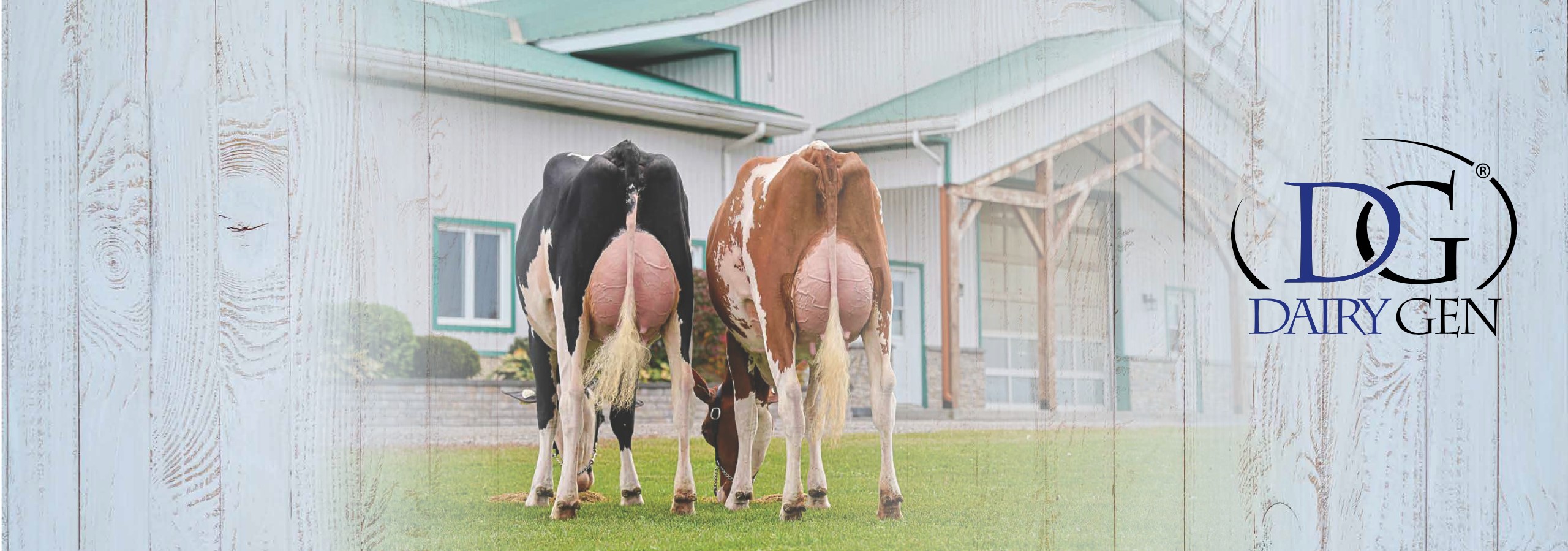 P240485_DG_Webbanner_1920x825_31102024-2